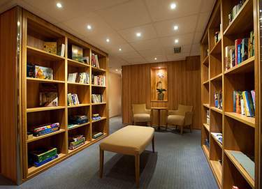 Viking Russia Library.jpg